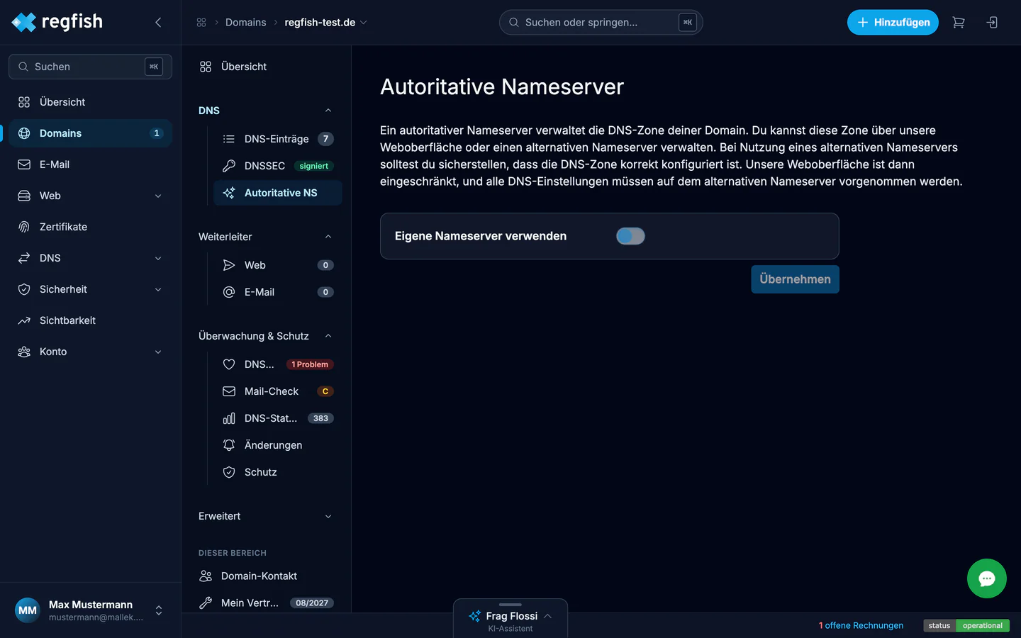 Die Umstellung auf eigene Nameserver