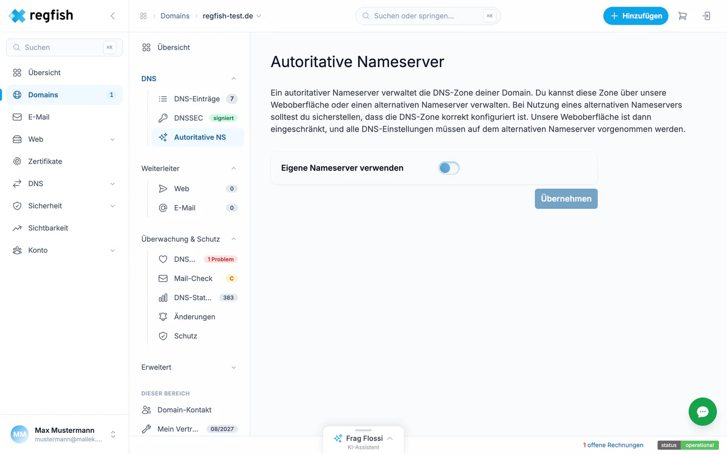 Die Umstellung auf eigene Nameserver